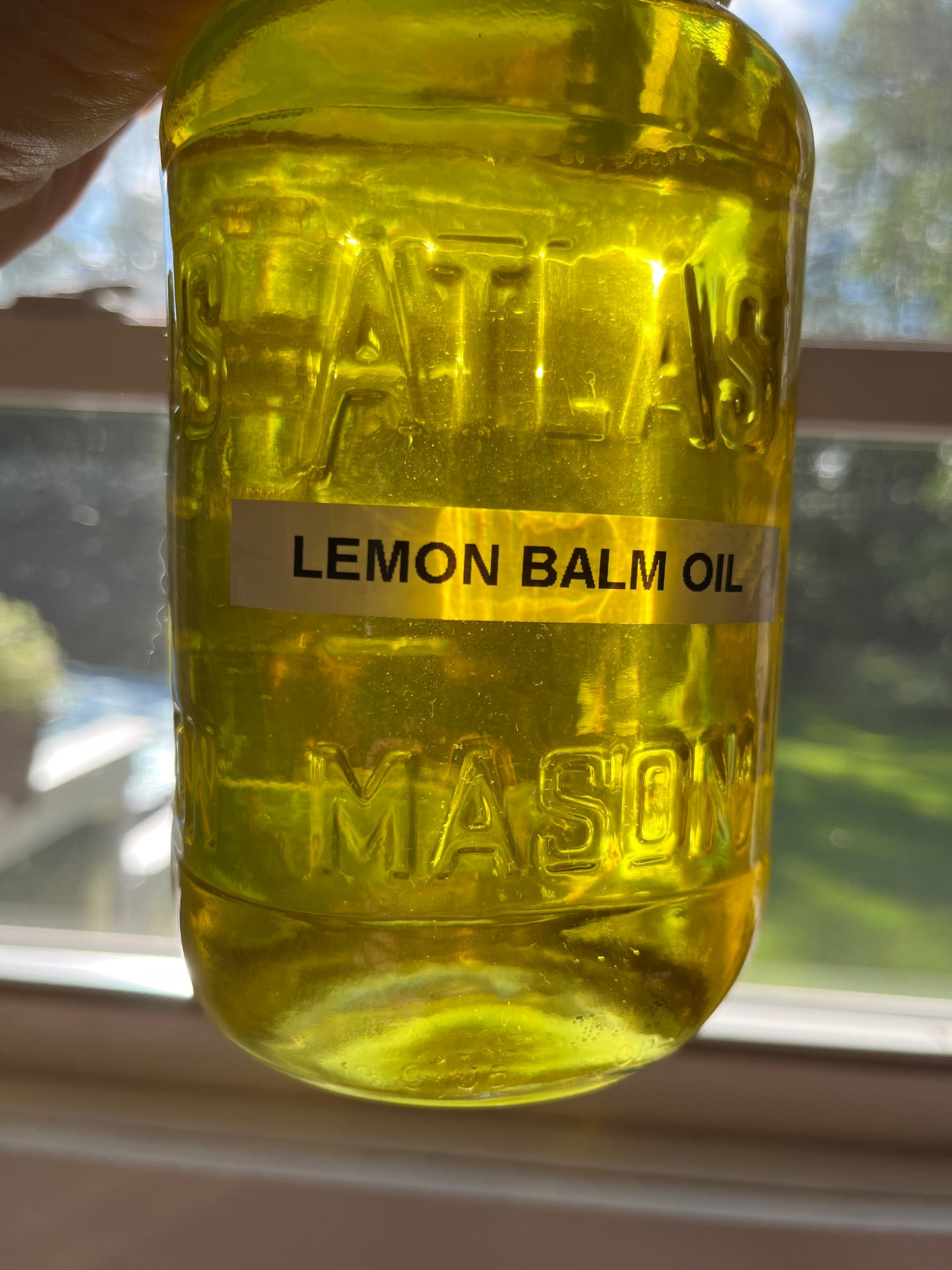 Lemon Balm Oil